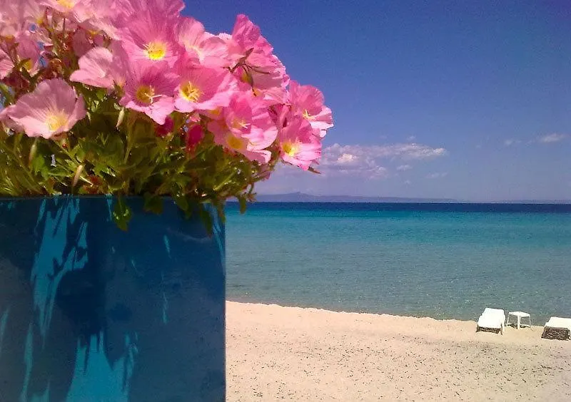 Hotel Delfini Kallithea  Kallithea (Chalkidiki)